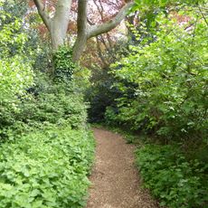 Gunton Wood