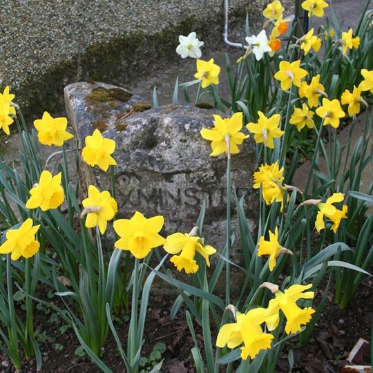 Milestone, Windmill Garage , Mount Pleasant
