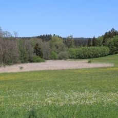 Tal der Weißen Laaber bei Deining