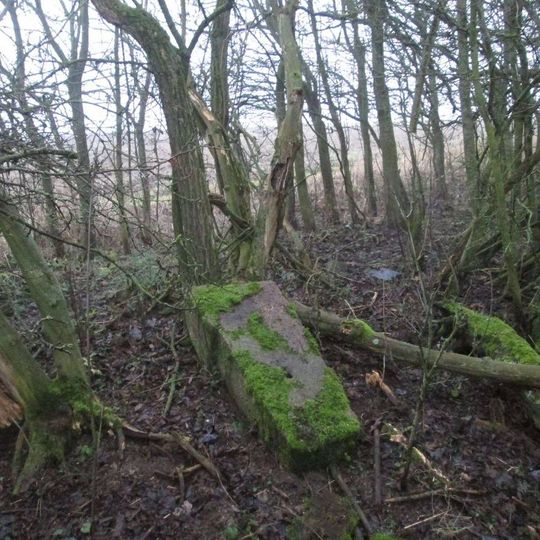 Kříž severně od Zhoře u cesty