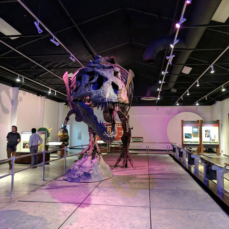 Discovery Center of Idaho