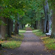 Парк (Рождествено)