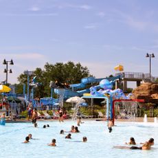 Sea Lion Aquatic Park