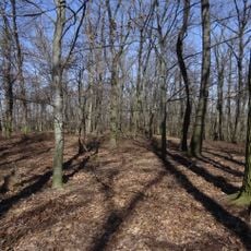 Svrkyňský mohylník