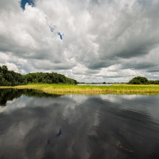 Parco nazionale di Sabangau