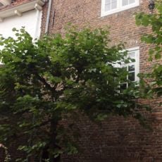 Muurhuizen 243, Amersfoort