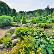 Park (ogród dendrologiczny)