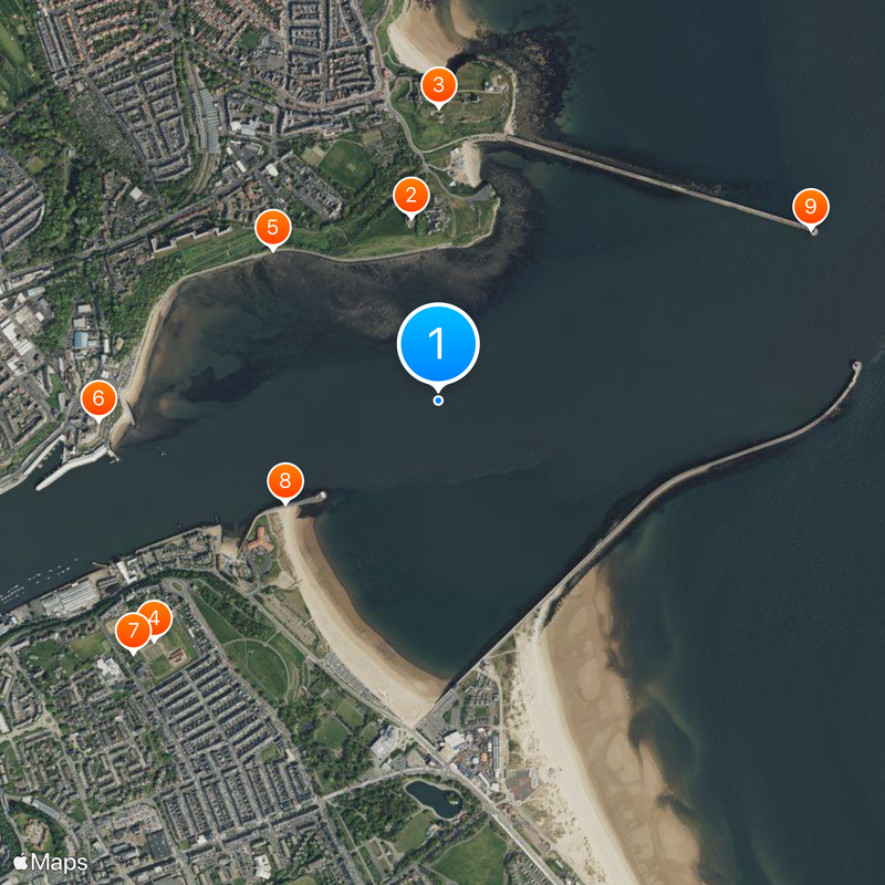 Tyne Carte