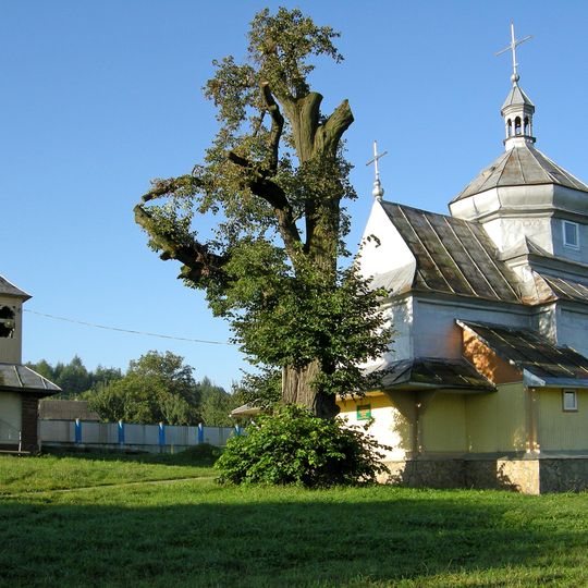 Tilia cordata in Tsvitova