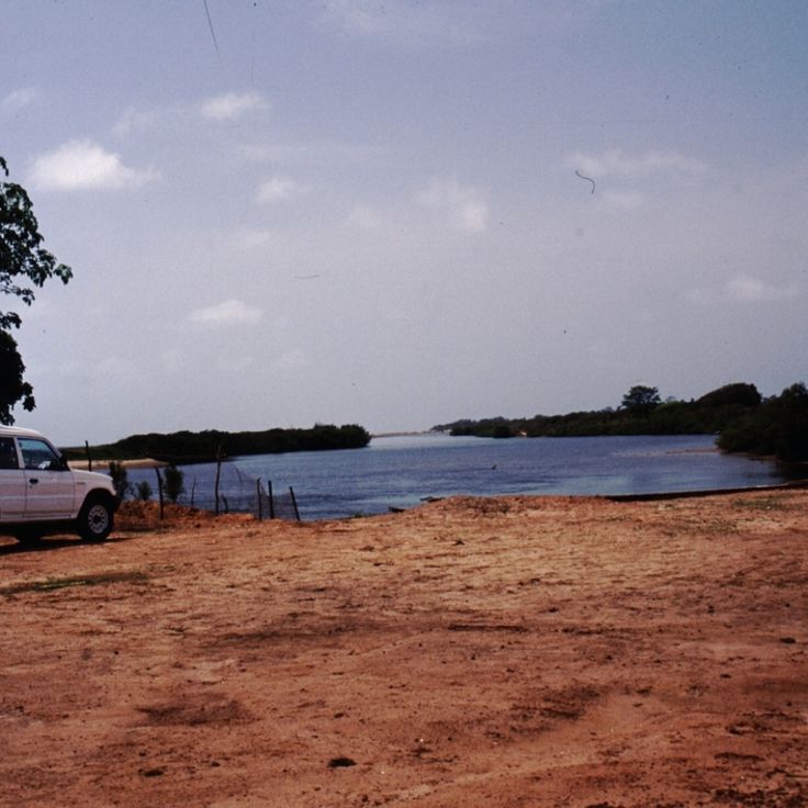 Tanji Bird Reserve