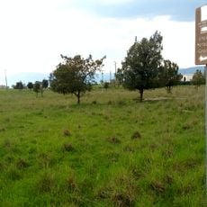 Tratturo Pescasseroli-Candela