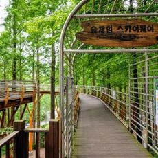 Jangtaesan Natural Recreation Forest