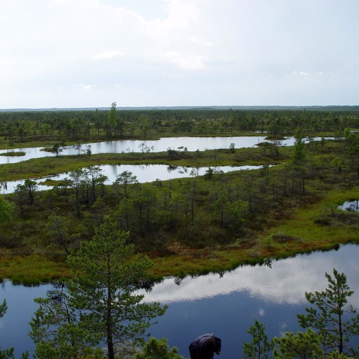 Kemeri nasjonalpark