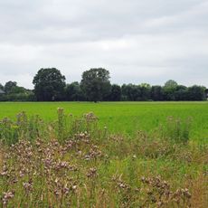 LSG-Muenchheide <temporaer>