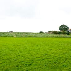 Terrein waarin een terp