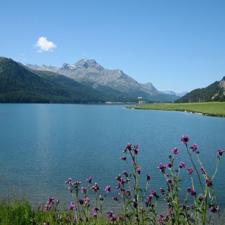 Lake Silvaplana