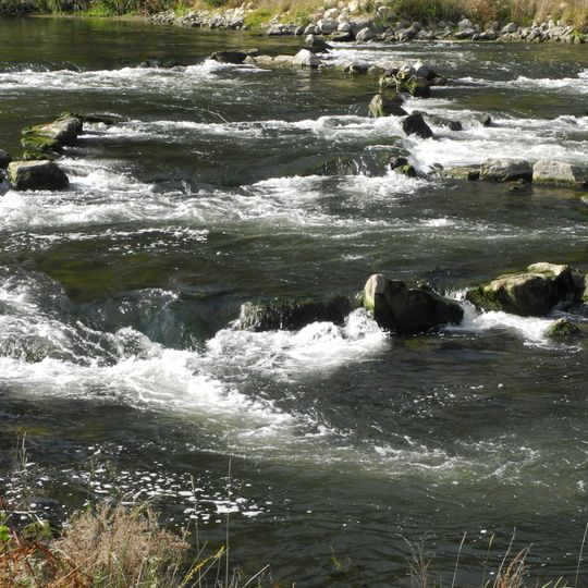 Donau zwischen Riedlingen und Sigmaringen