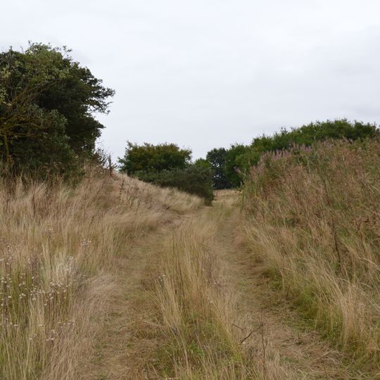 Furze Hill