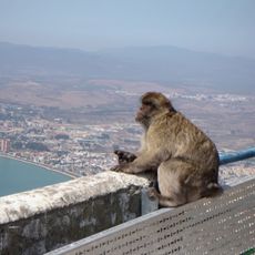 Gibraltar Aerobeacon