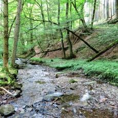 Bachtal Saure Epscheid