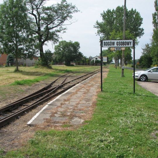 Rogów, powiat brzeziński
