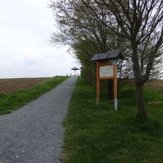 Aussichtspunkt Pilz