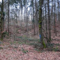 Wallanlage in Fischbach (gemeindefreies Gebiet)