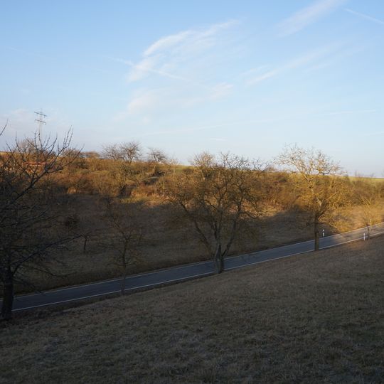 Naturdenkmal Pflanzenstandort ober dem Bischofsheimer Weg