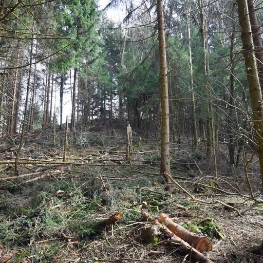 Furtbüel, bronze age and Hallstatt period hilltop settlement