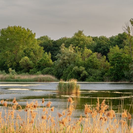 Erweiterung des Vogelschutzgebietes Garstadt