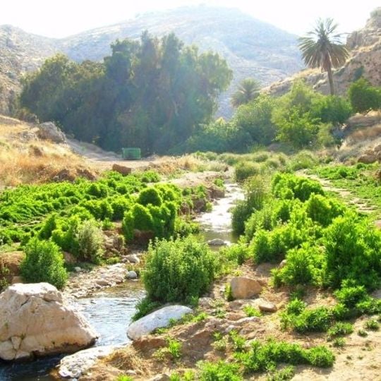 Wadi Qelt