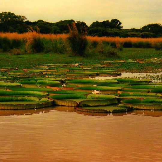 Cayastá