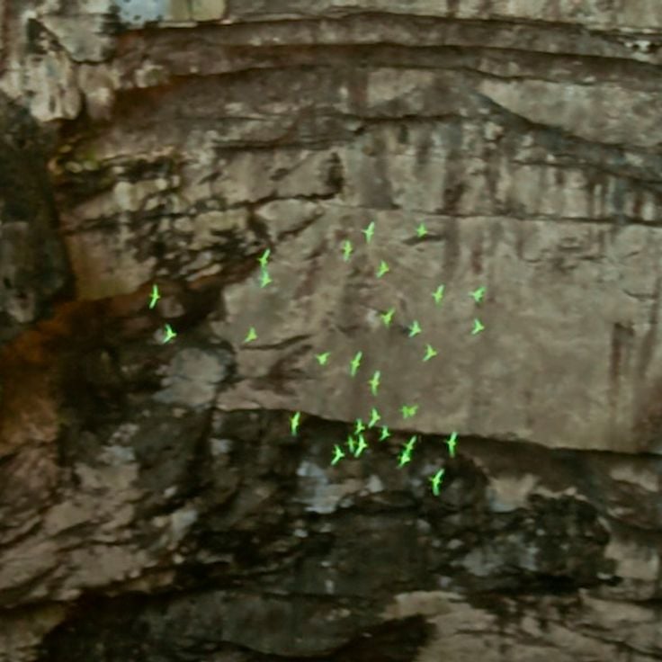 La Grotta delle rondini