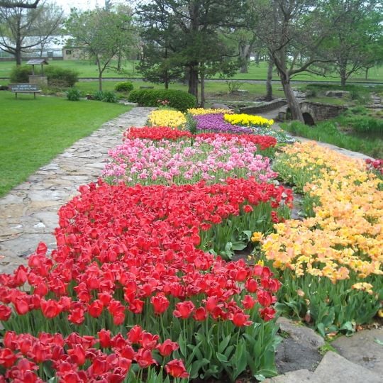 Rosaleda Reinisch y Rocalla Doran