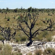 Little Desert National Park