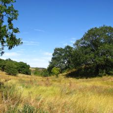 Balka Pavlivska Reserve