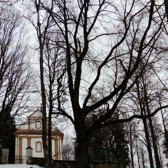 Lípa na Dobré Vodě