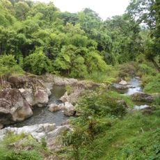 Mae Wong National Park