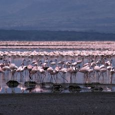 Kenianisches Seensystem im Great Rift Valley