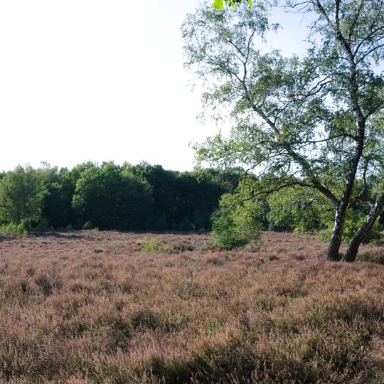 Hügelgräberheide Halle-Hesingen