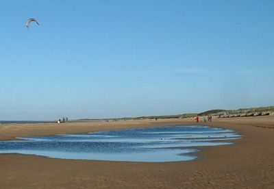 Immagine alternativa