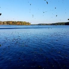 Lake Allegan