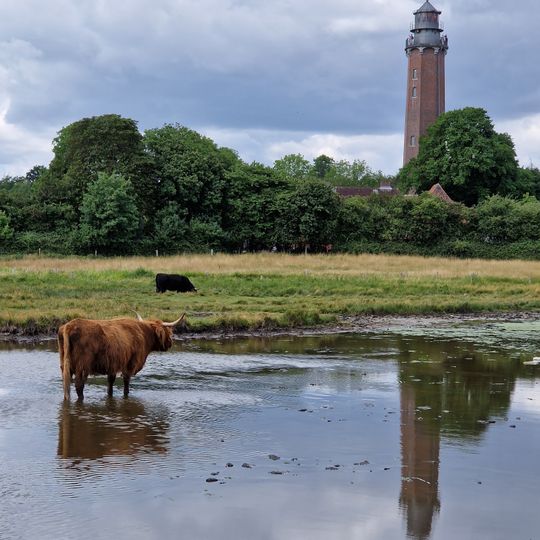 Leuchtturm Neuland