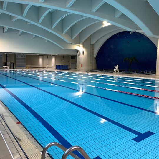 Suzanne Berlioux swimming pool