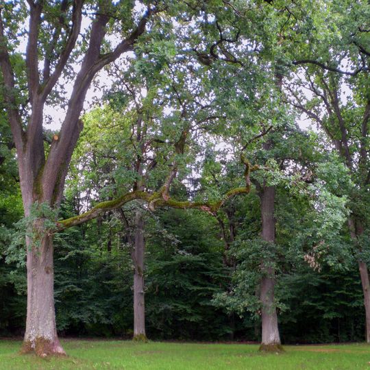 Eichenhain bei Brunn