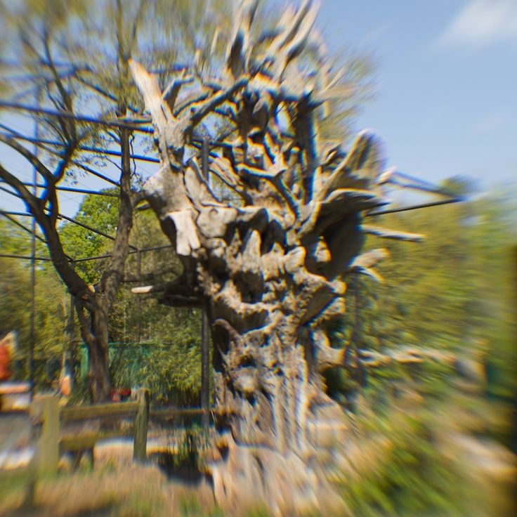 Zoológico de Houston