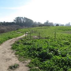Arana Gulch