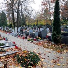 Žale Central Cemetery