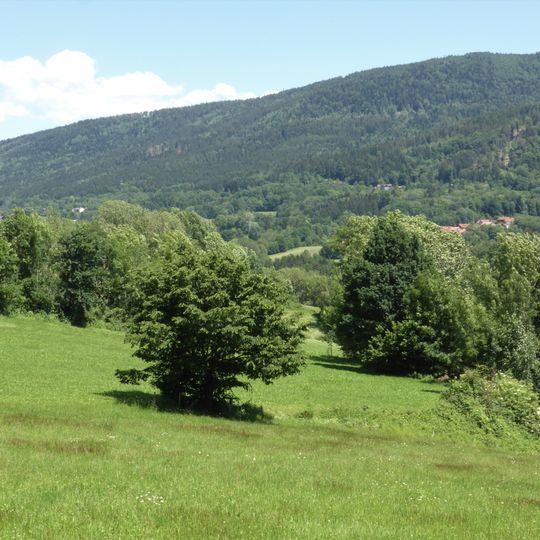 Bergwiesen und -weiden im Vorderen Bayerischen Wald