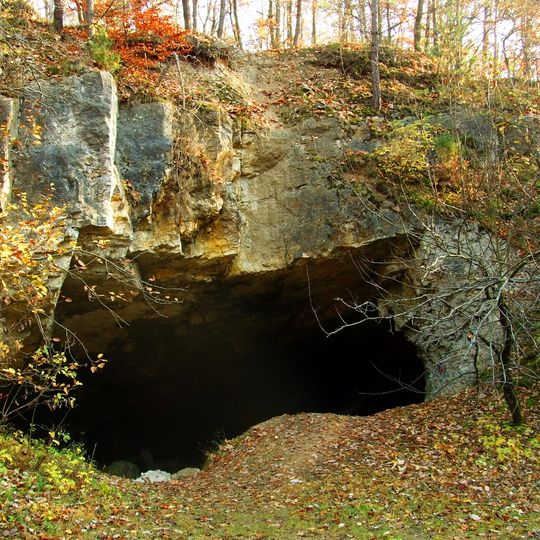 Rezerwat przyrody Szachownica